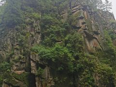 -茅兰沟国家森林公园