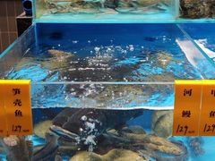 -瓯菜排档·温州海鲜(玕南店)