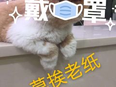 -文叔·湖北名小吃·小龙虾(华强北店)