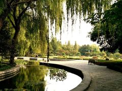 -洛阳市隋唐城遗址植物园