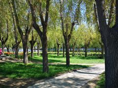 -长春公园(普阳街道)