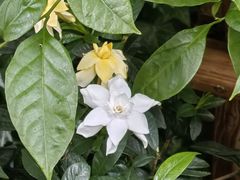 -Beans Solo豆号咖啡(百家湖花园店)