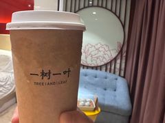 -一树一叶·福建茶档(石鼓路店)