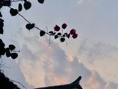 -比顿咖啡(和顺古镇店)