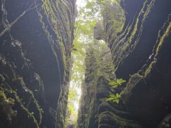 -梭布垭石林景区