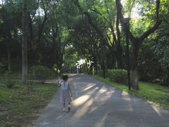 -燕晗山郊野公园