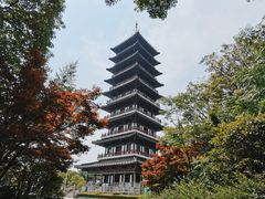 -宜兴龙背山森林公园