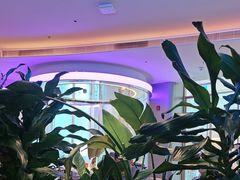 -桂满陇·蟹黄小笼汤包(清河万象店)