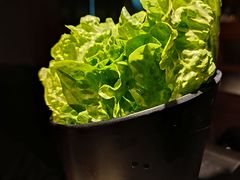 -九田家黑牛烤肉料理(太阳宫广场店)