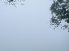 -天坛大佛