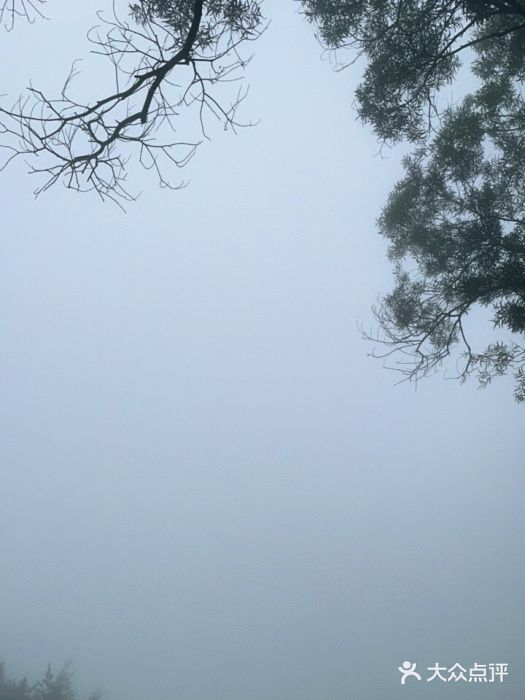 天坛大佛图片