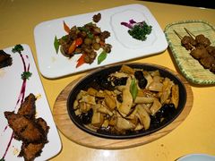 -素虎小呆鸟(西二旗店)