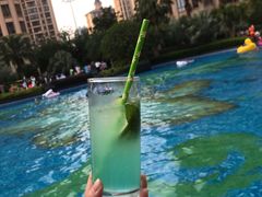 -上海浦东星河湾酒店