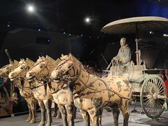 -秦始皇帝陵博物院-丽山园