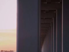 -宝安西湾红树林湿地公园