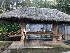 -清迈夜间动物园