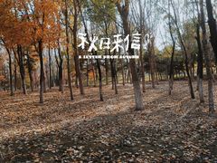-莫子山公园