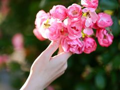 -广富林郊野公园