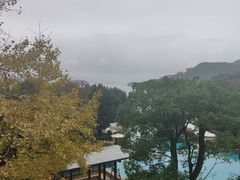 -羡餐厅·杭帮菜·淳菜(千岛湖自由洲际殿店)
