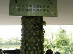 -新江湾城公园