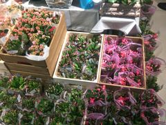-无锡文化工艺品市场(槐古路店)