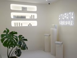 -安那般那皮肤年轻化ANAPANA