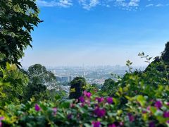 -火炉山森林公园