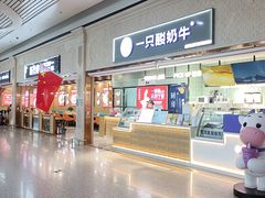 -银川河东国际机场
