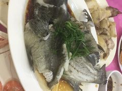 石斑鱼-湛江渔港·大排档(乐园路总店)