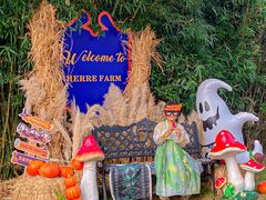 -HERRE·FARM 赫尔露营农场·团建聚会包场