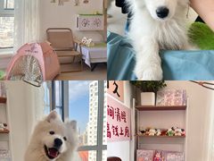 -大悦城(沈阳中街店)