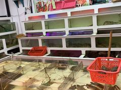 水产区-肥弟大排档(汕樟路店)