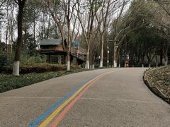 -天目湖山水园
