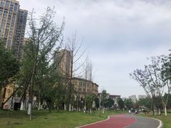 -府河摄影公园
