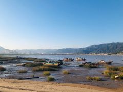 -北岐滩涂