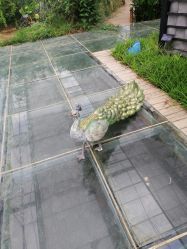 -水八仙生态园