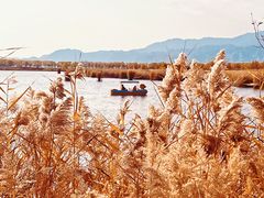 -野鸭湖国家湿地公园