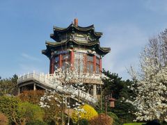 -湛山寺