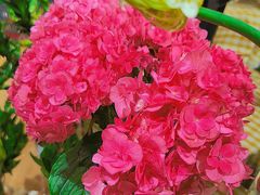 -AEON永旺(东方宝泰店)