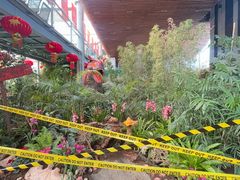 -沈阳植物园