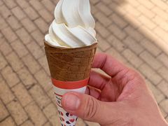 -富豪雪糕车流动点(尖沙咀店)