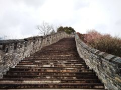-紫阳古街