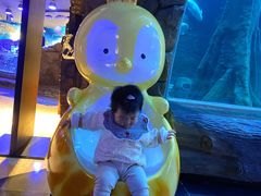 -成都浩海立方海洋公园