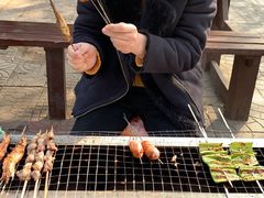 -尚庄度假村·庭台树下·户外烧烤·团建CS·轰趴营地(上庄水库店)