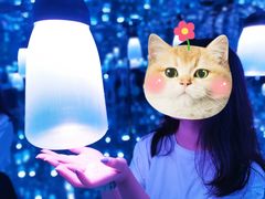 -南昌梵高星空艺术馆