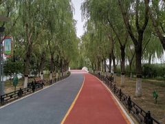 -大兴滨河森林公园