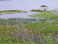 -漩门湾国家湿地公园