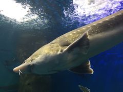 -多彩贵州城极地海洋世界