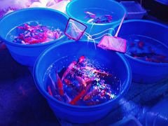 -中环花鸟鱼虫市场