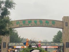 -北京野生动物园